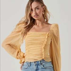 NWT Astr the label top
